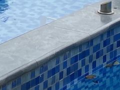 -汇雅温泉