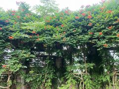 -白塘生态植物园