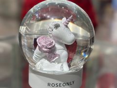 -ROSEONLY诺誓(沈阳万象城店)