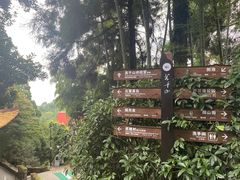 -莫干山风景区