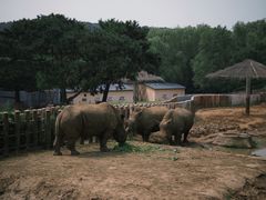 -沈阳森林动物园