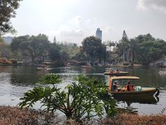 -晓港公园