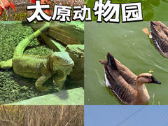 -太原动物园