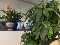 -羲和雅苑•北京烤鸭(国贸商城店)