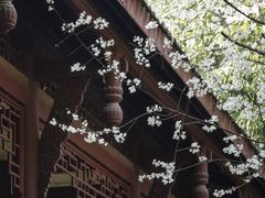 -望江楼公园