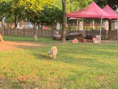 -杭州师范大学(下沙校区)