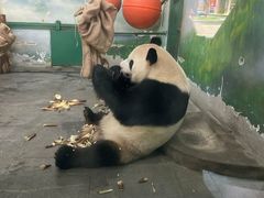-无锡动物园·太湖欢乐园
