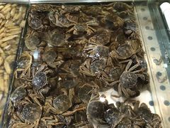 -孙家码头海鲜自助美食城