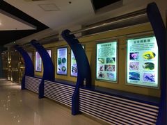 -上海昆虫博物馆