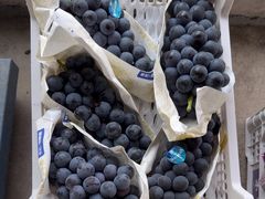 -马陆小张葡萄园农家乐