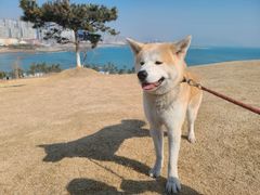 -燕儿岛山公园