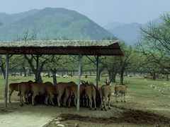 -西安秦岭野生动物园