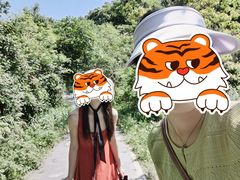 -青龙山国家森林公园