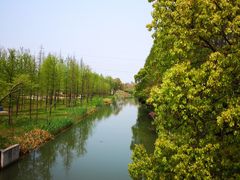 -上海长兴岛郊野公园