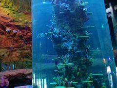 -青岛嘉年华主题乐园