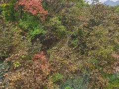 -秦岭天竺山生态文化旅游景区
