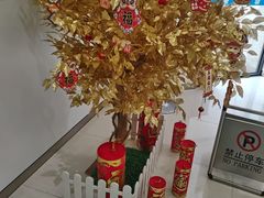 -中国民生银行(上海同福支行)