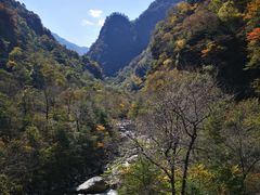-青峰峡国家森林公园