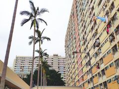-彩虹村