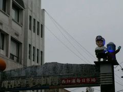 -西归浦每天偶来市场
