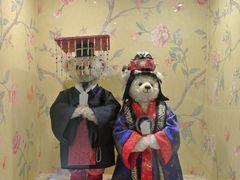 -济州岛泰迪熊博物馆