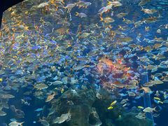 -成都浩海立方海洋公园