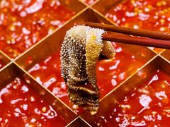 -蜀九香火锅(彩虹店)