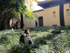 -西园戒幢律寺