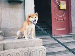 -星巴克(开封万达广场店)