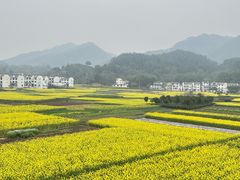 -新安江山水画廊风景区