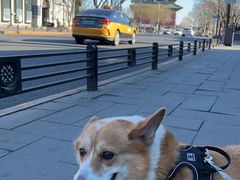 -METAL HANDS(五道营店)