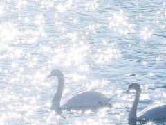 -青岛东方影都融创水世界