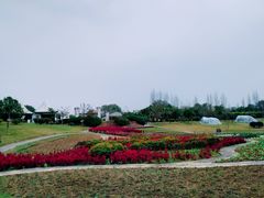 -紫颐香薰山谷景区