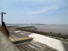-上海滨江森林公园
