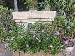 -茶油香闽南菜·花园餐厅(前埔店)