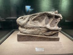 -自贡恐龙博物馆