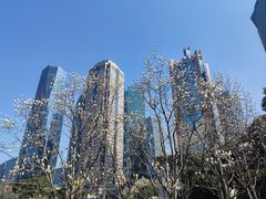 -陆家嘴中心绿地