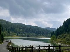 -武陵山森林公园