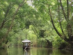 -西溪国家湿地公园