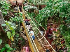 -正佳雨林生态植物园