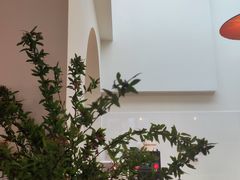 -有猫主题·治愈系猫咖(曾厝垵店)