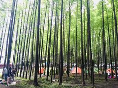 -山王坪喀斯特国家生态公园