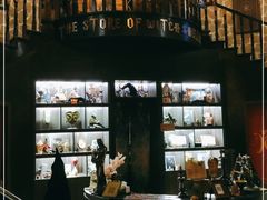 -雪灵魔法世界SHELLY’S TAROT(大良桂畔里店)