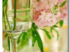 呆牛影像0337-北京西国贸大酒店