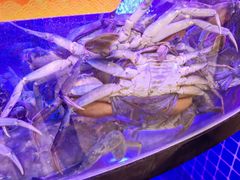 -七欣天香辣蟹火锅(闵行浦江欢乐颂店)