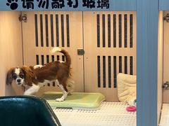 -乐宠宠物店(世纪金源店)