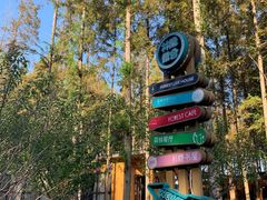 -黄海国家森林公园