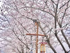 -长田漾湿地公园