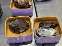 鲜活石头鲍-海底捞大排档火锅(打浦路店)