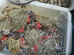 -金沙滩海鲜餐厅·海肠捞饭·手工水饺·无预制菜(梅江龙水园店)